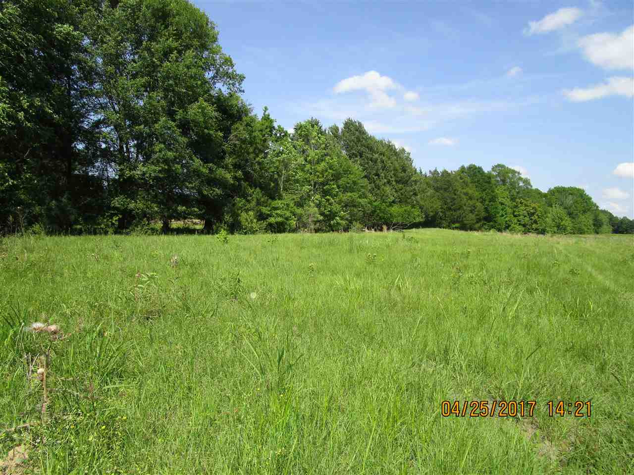 300 Gus Green Road Flora, MS 39071 - Photo 1 of 10 Photo 1