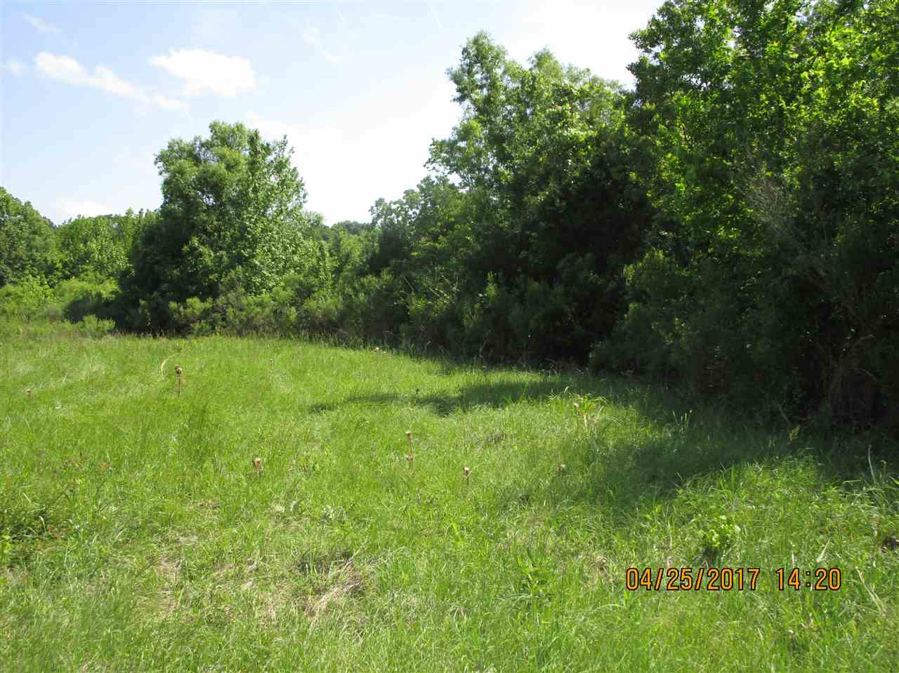 300 Gus Green Road Flora, MS 39071 - Photo 2 of 10 Photo 2