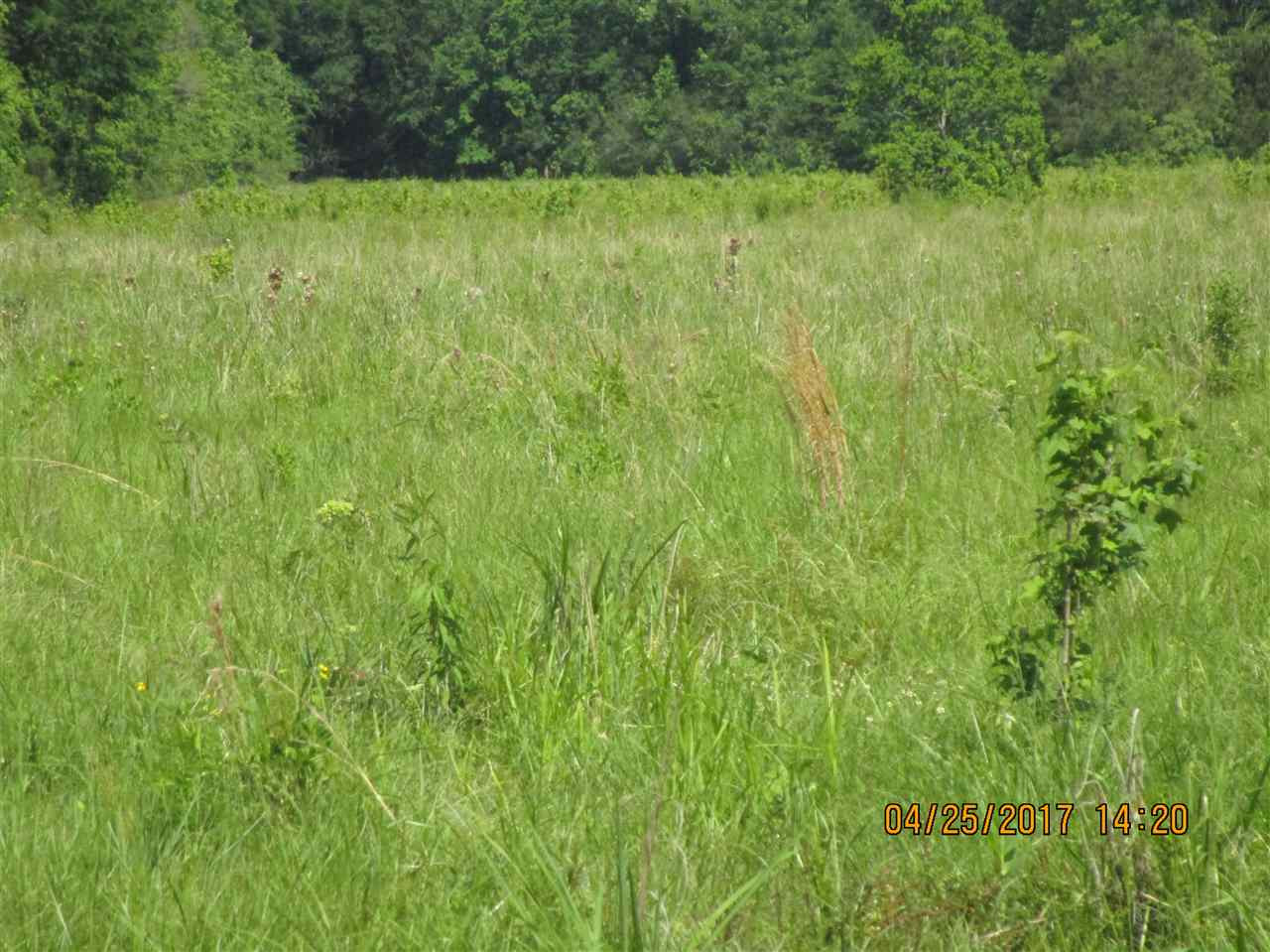 300 Gus Green Road Flora, MS 39071 - Photo 3 of 10 Photo 3