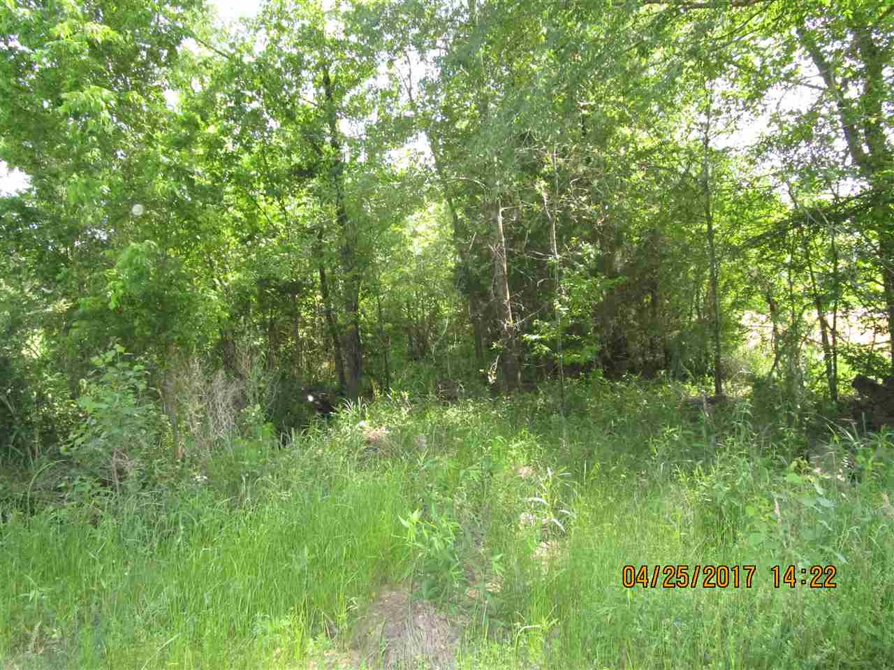 300 Gus Green Road Flora, MS 39071 - Photo 4 of 10 Photo 4