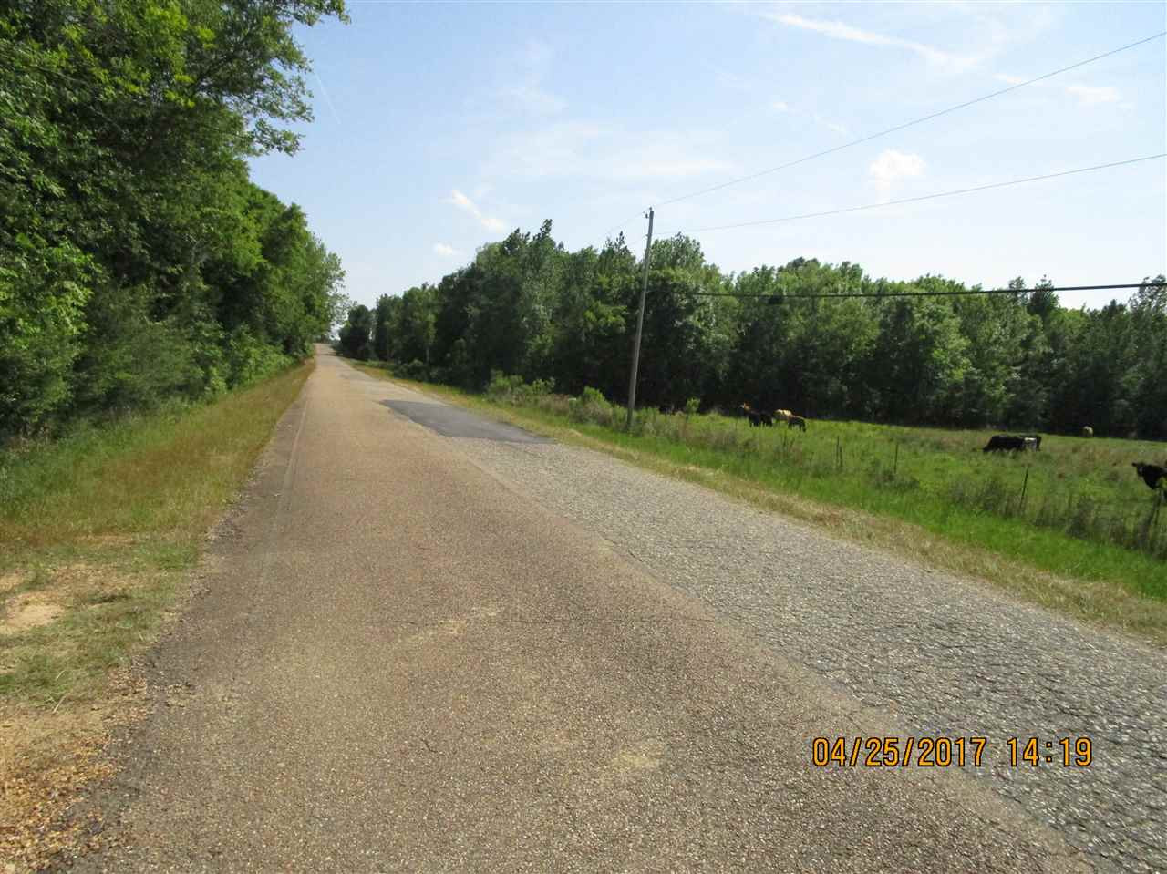 300 Gus Green Road Flora, MS 39071 - Photo 5 of 10 Photo 5