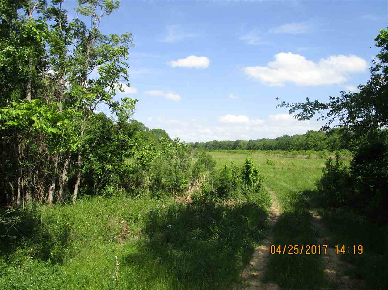 300 Gus Green Road Flora, MS 39071 - Photo 6 of 10 Photo 6