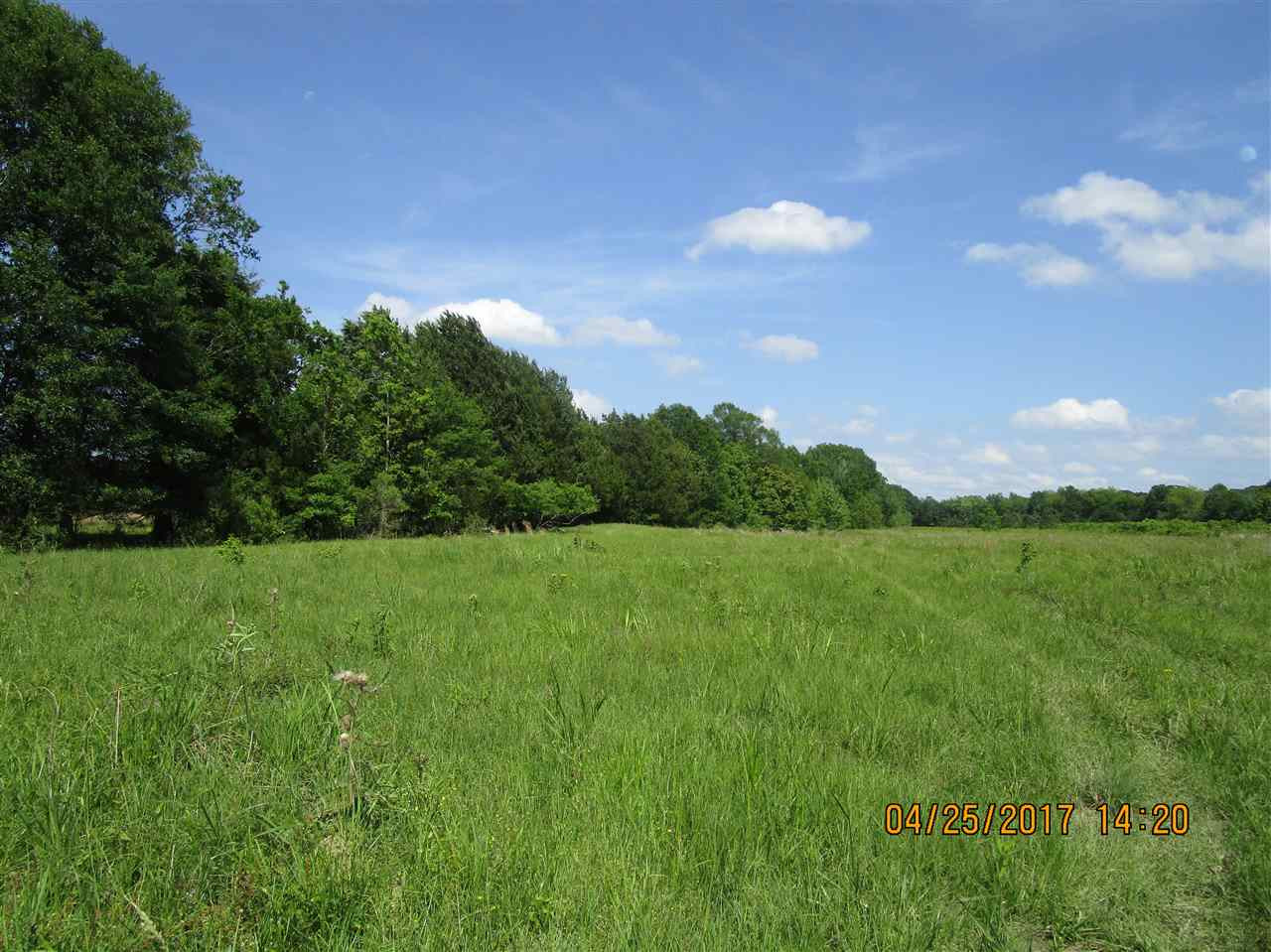300 Gus Green Road Flora, MS 39071 - Photo 7 of 10 Photo 8