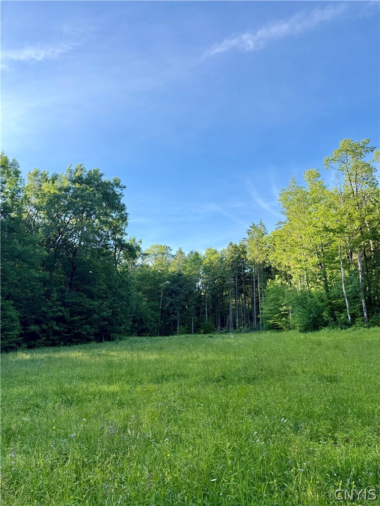 9191 Furman Mills Road Brookfield, NY 13460 - Photo 5 of 30