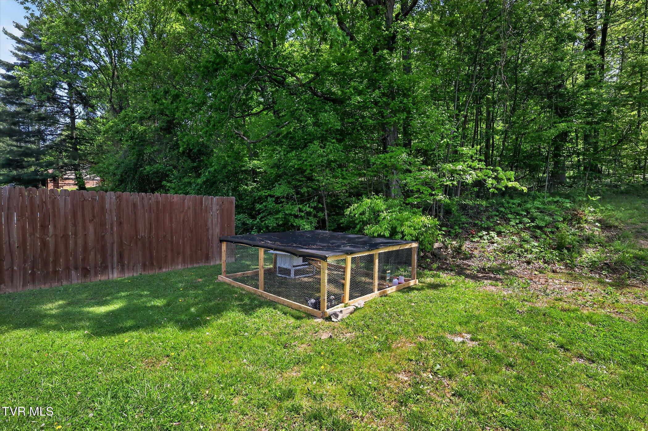 263 Big Springs Road Elizabethton, TN 37643 - Photo 38 of 38 38-263-Big-Springs-Rd-WindowStill-Photog