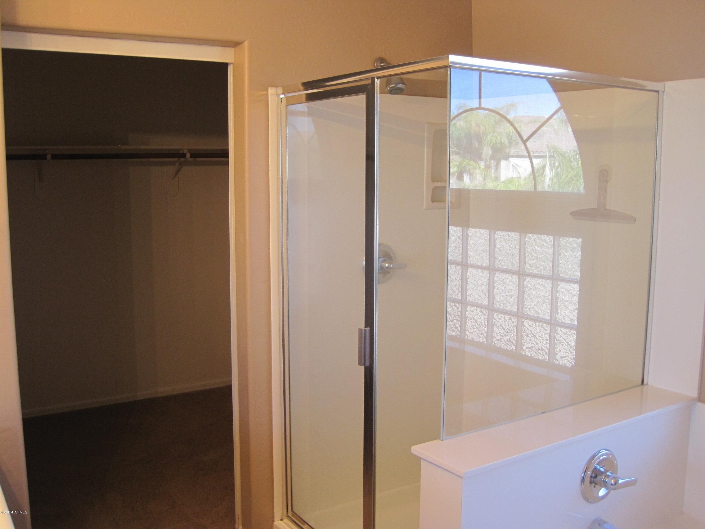15732 West Redfield Road Surprise, AZ 85379 - Photo 19 of 33 MASTER SHOWER