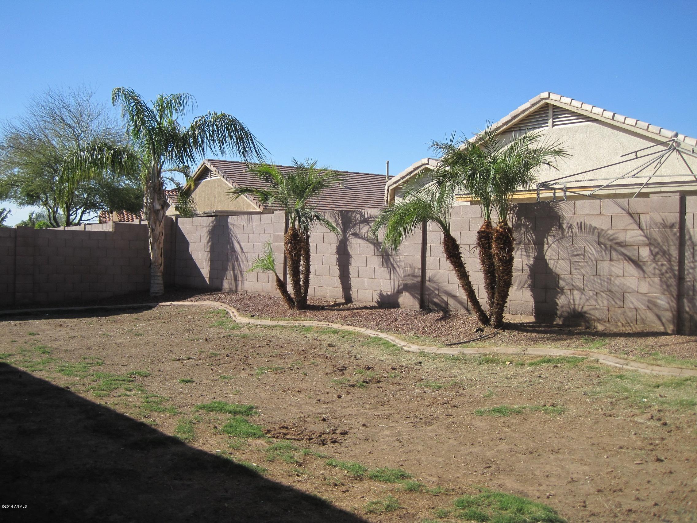 15732 West Redfield Road Surprise, AZ 85379 - Photo 29 of 33 BACKYARD WITH PALM TREES