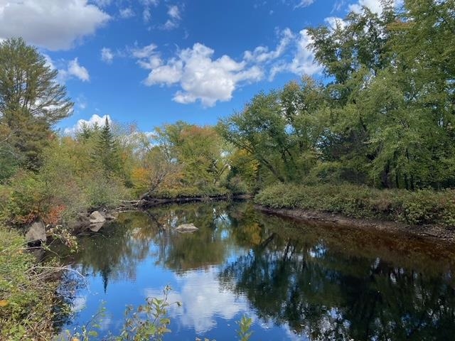 388 Percy Road Stark, NH 03582 - Photo 4 of 57