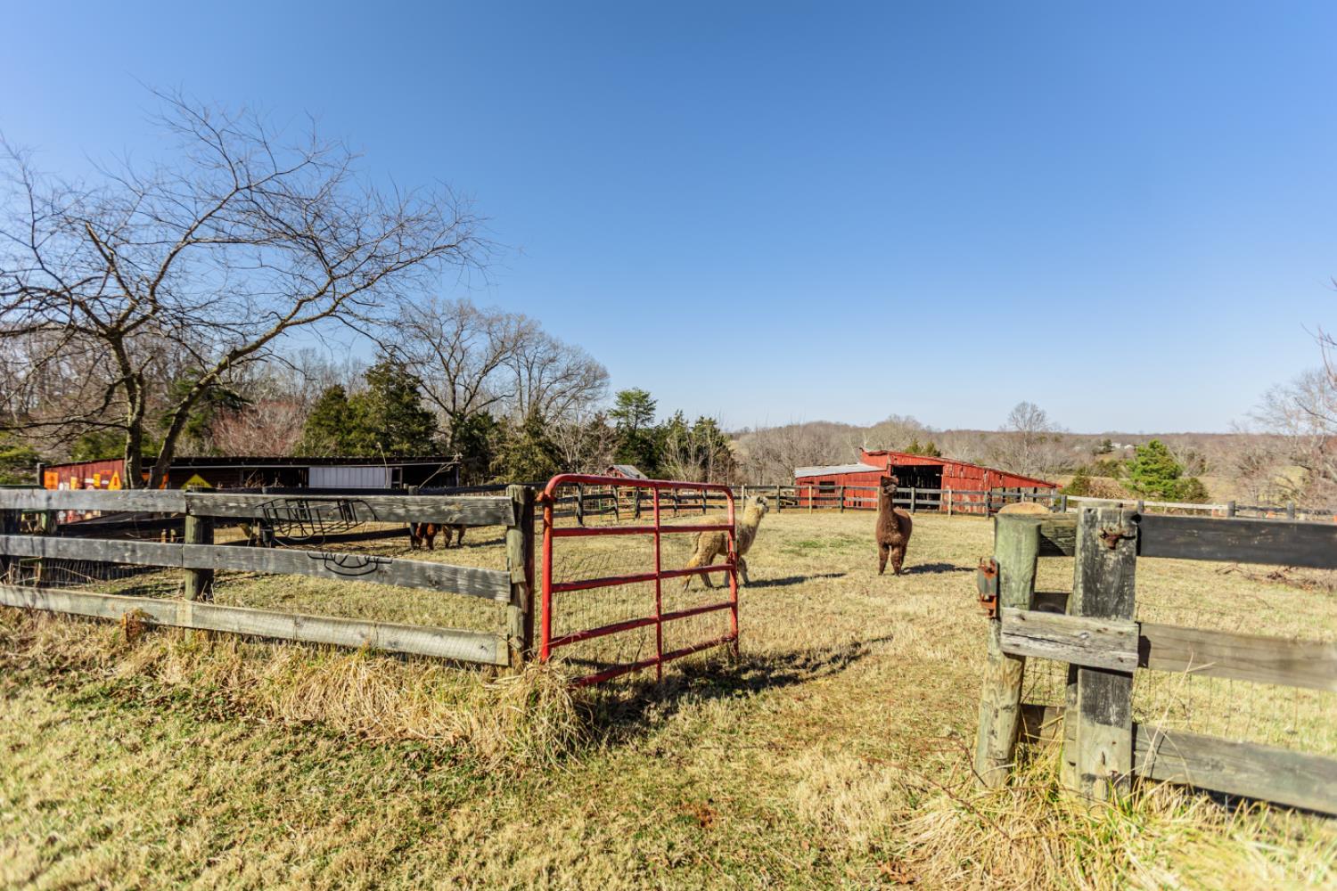 801 Purdum Mill Road Appomattox, VA 24522 - Photo 44 of 68