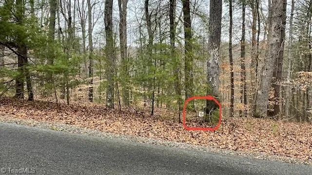 $29,999 | Lot 6 Woods Haven Lane, Stuart, VA 24171