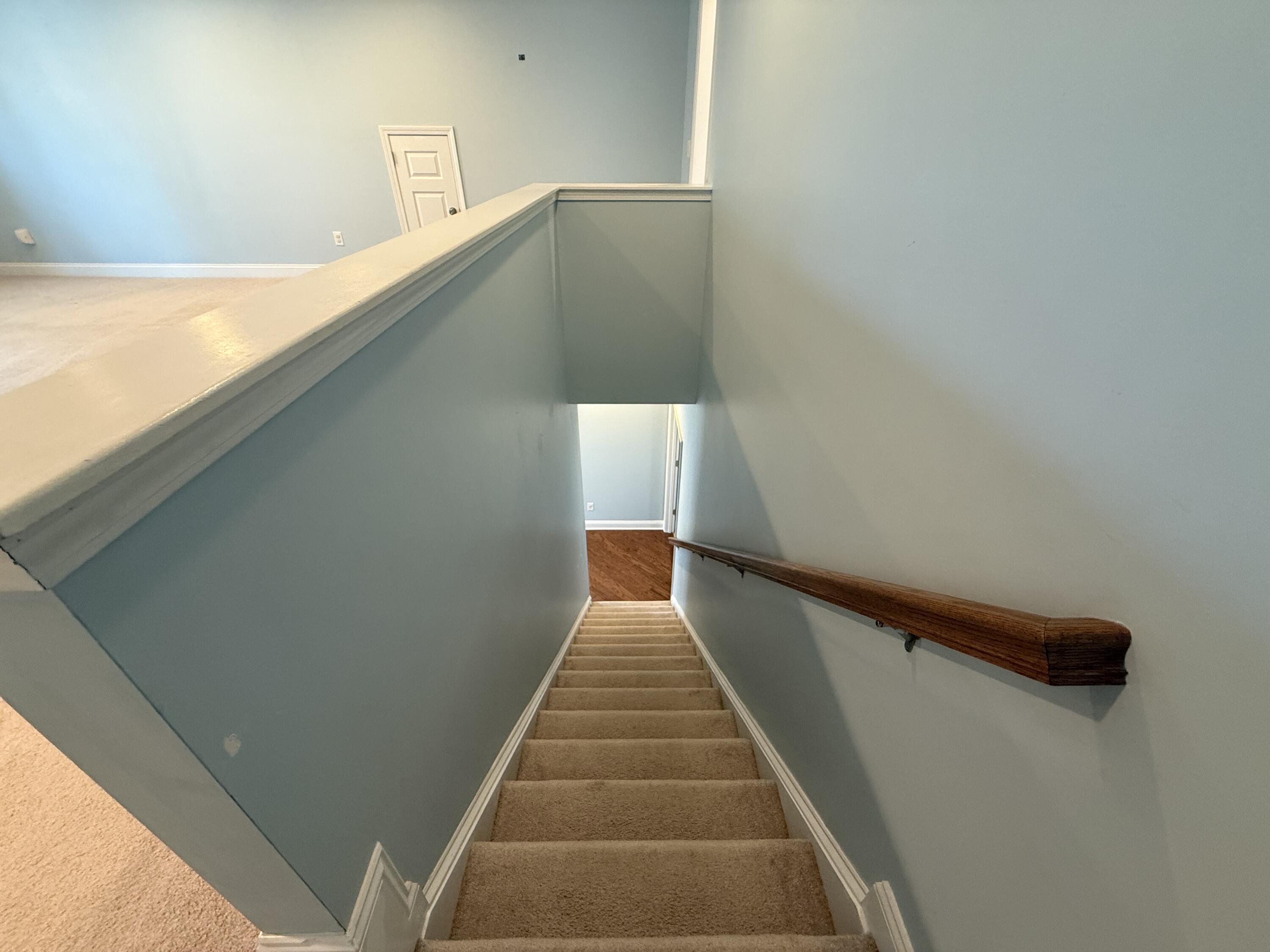 1572 Pixley Street Charleston, SC 29414 - Photo 38 of 45 IMG_0174