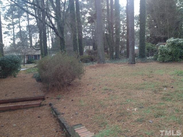5001 Auburn Road Raleigh, NC 27609 - Photo 14 of 20 a view of a forest with trees in the background