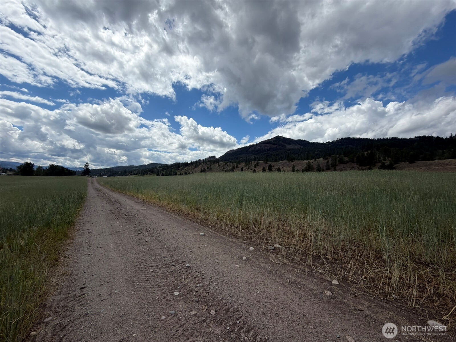 1 Lundimow Meadows Road Malo, WA 99150 - Photo 10 of 17 Gallery Image 10