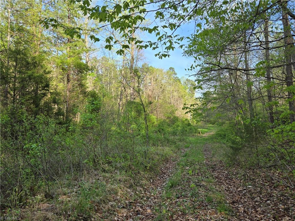 0 Hoover Hill Road Asheboro, NC 27205 - Photo 18 of 29