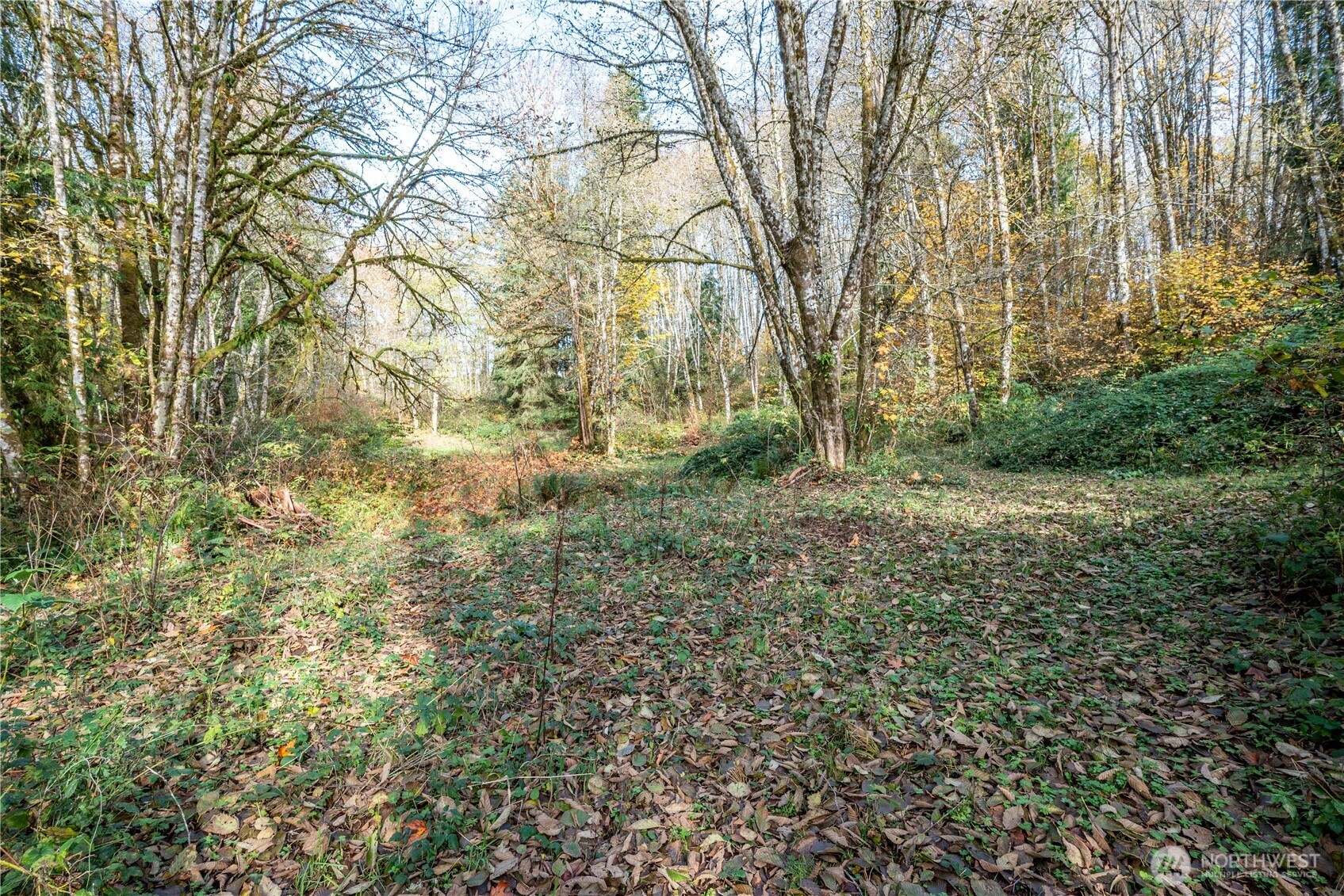 942 Stella Road Longview, WA 98632 - Photo 10 of 22 Gallery Image 10