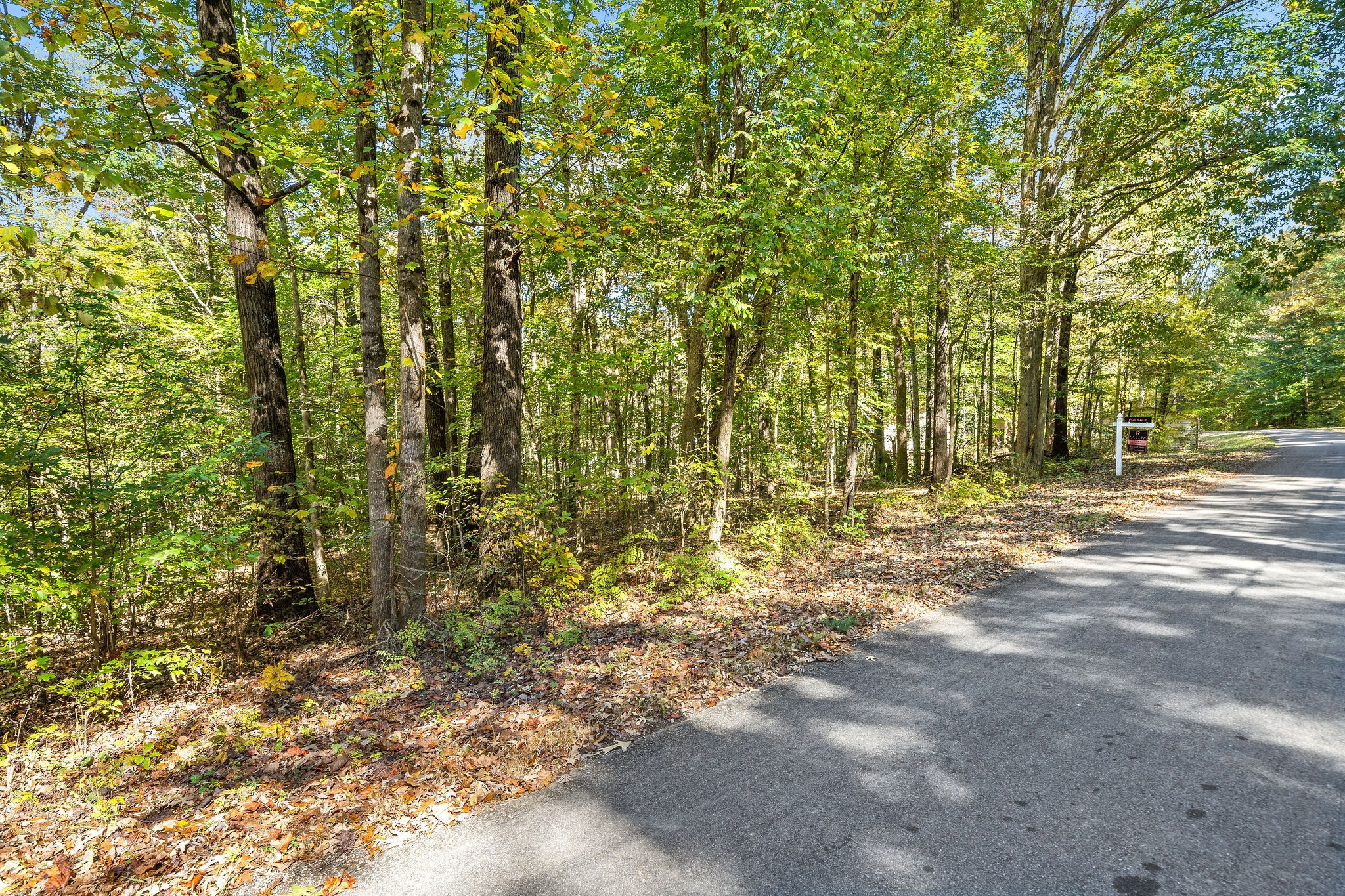 0 Caney Branch Road Stewart, TN 37175 - Photo 2 of 3
