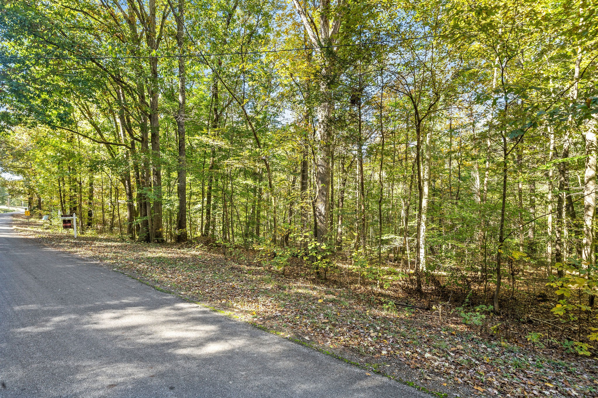 0 Caney Branch Road Stewart, TN 37175 - Photo 3 of 3 a view of a yard with plants and trees