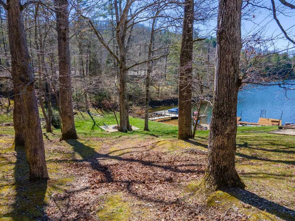 82 Avisco Road Robbinsville, NC 28771 - Photo 66 of 77