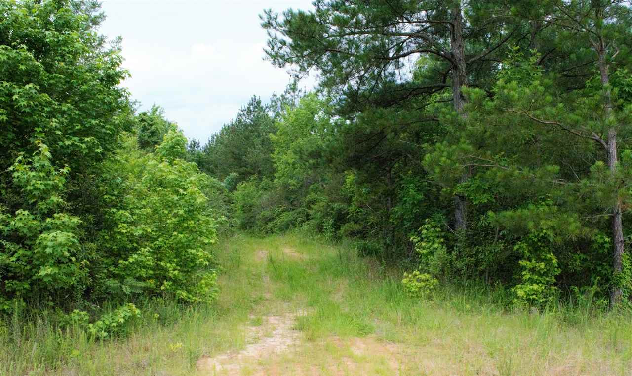676 Gum Springs Road Braxton, MS 39044 - Photo 1 of 12 Photo 1