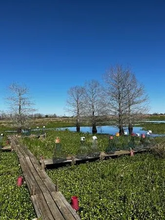$37,000 | D4 Gros Cypress, Des Allemands, LA 70030