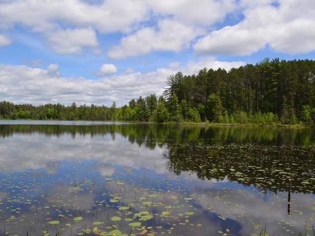 W5196 Jelinek Road Tomahawk, WI 54487 - Photo 15 of 20 Gallery Image 15