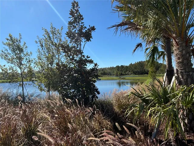 $2,250 | 17481 Spanish Oak Loop, Land O Lakes, FL 34638