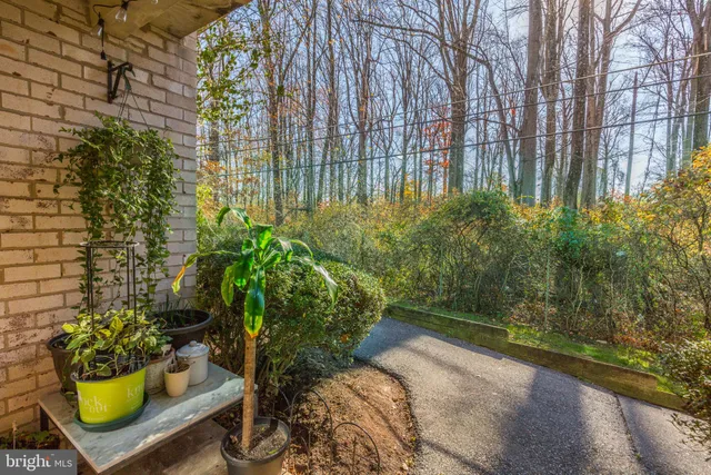 a view of a back yard of the house