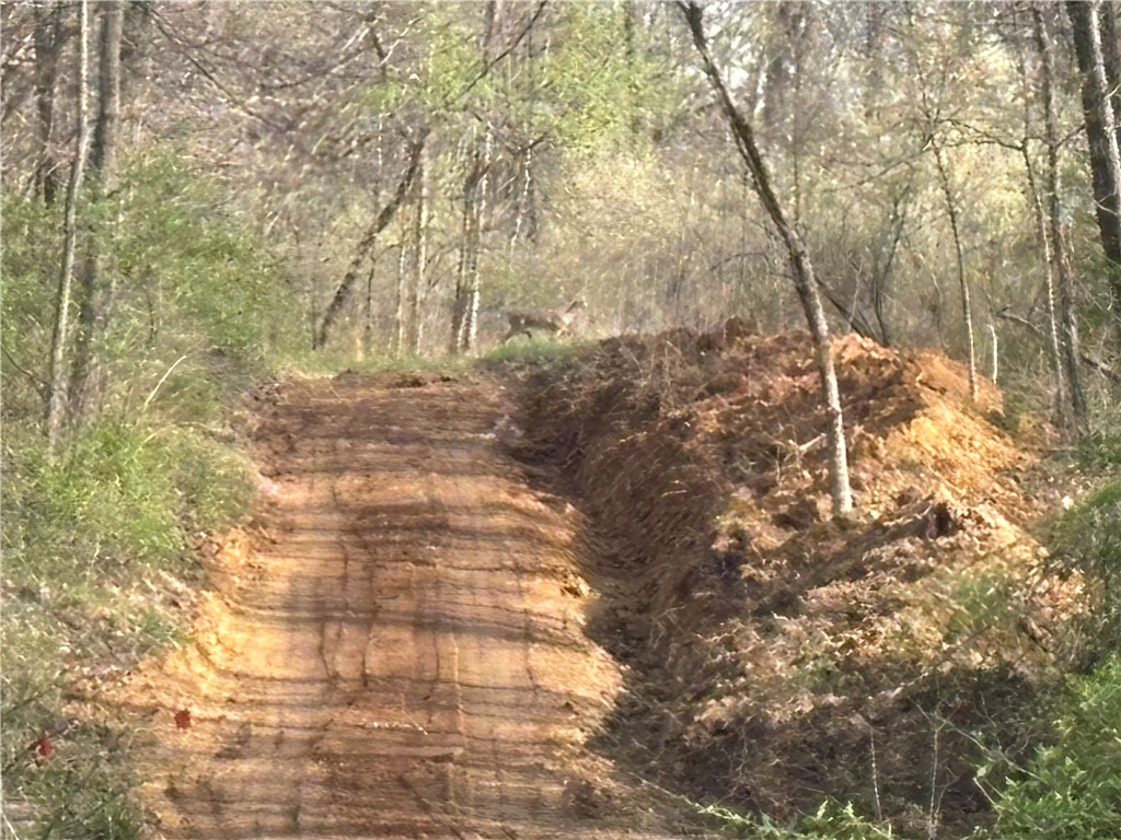 Applegate Road Bridgeport, IL 62417 - Photo 13 of 17