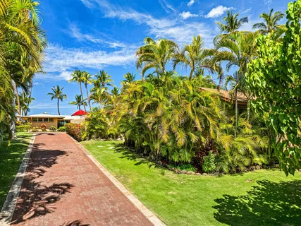 a view of a backyard