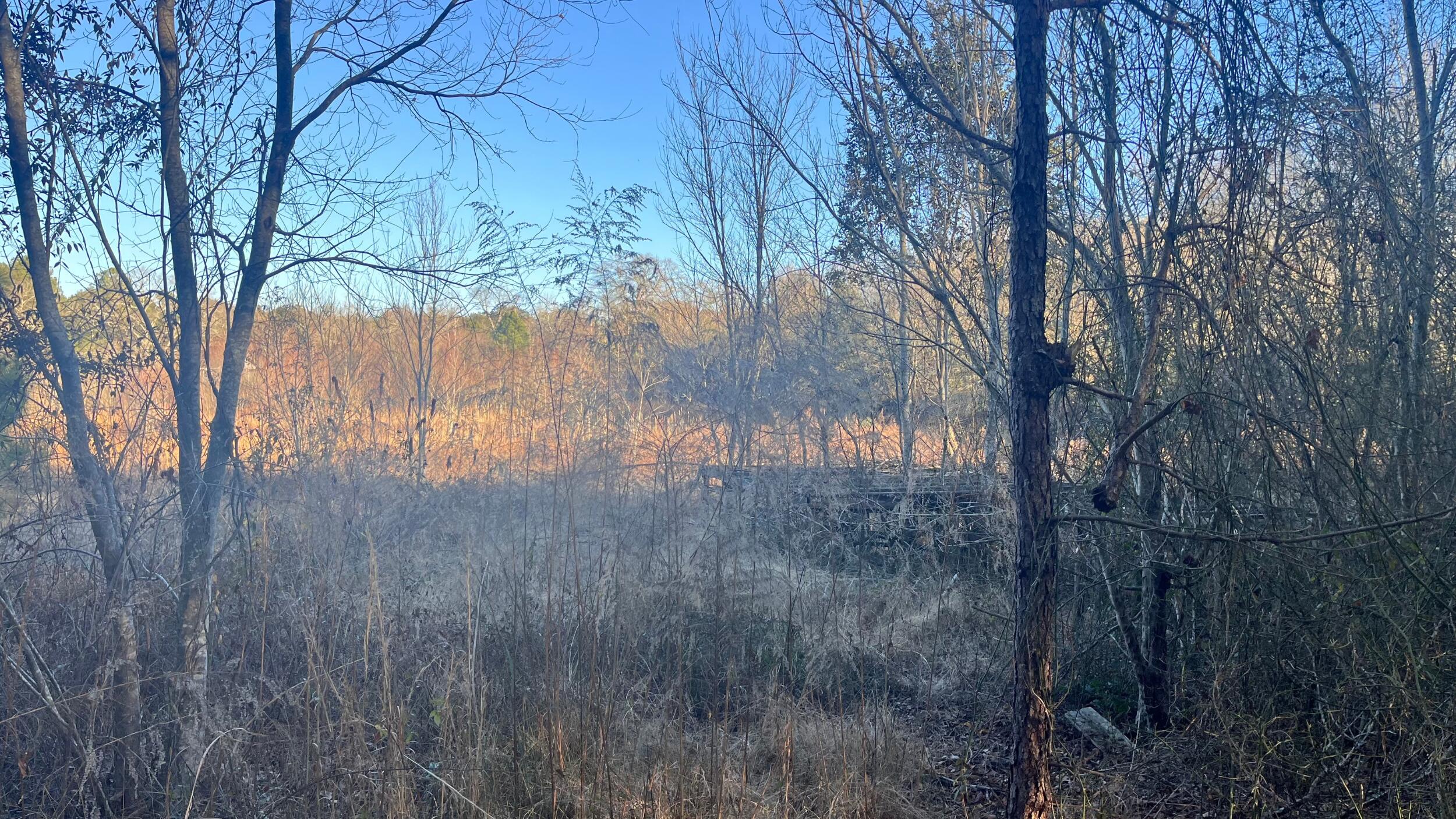 0 Millers Pond Road Salley, SC 29137 - Photo 22 of 28