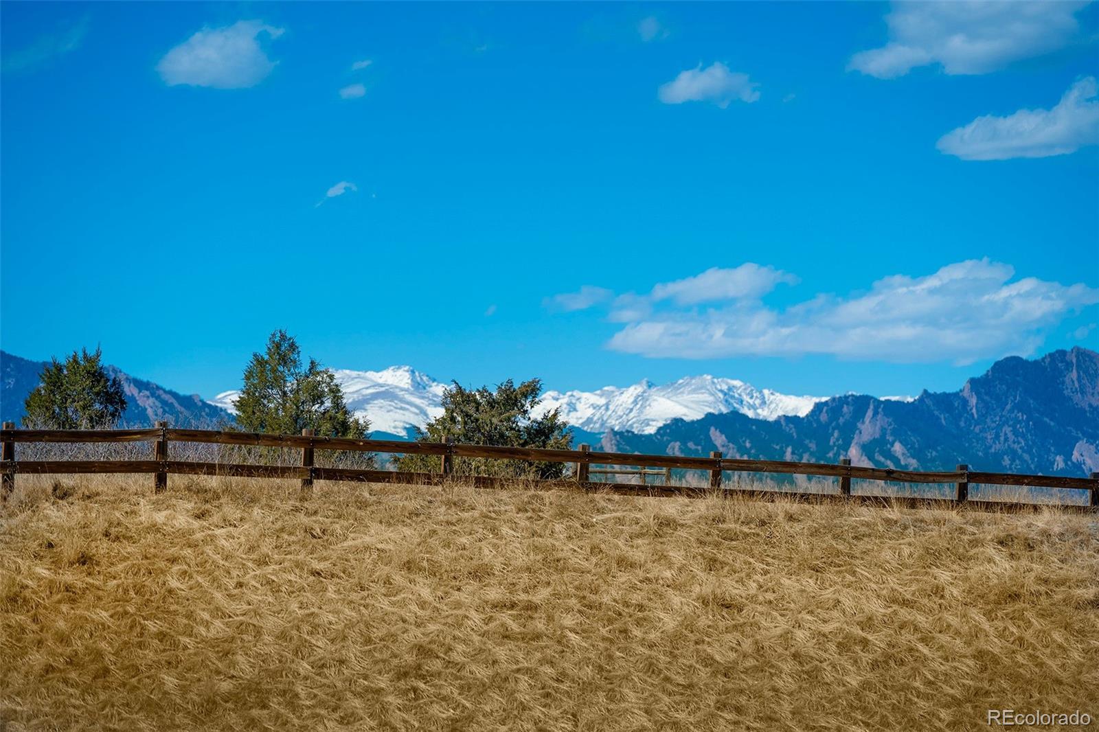 10351 Routt Street Broomfield, CO 80021 - Photo 15 of 31 a view of a yard