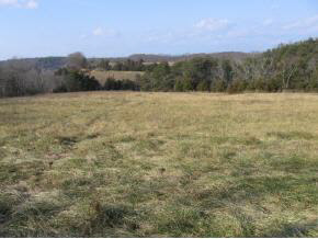 136 Eureka Mill Road Staunton, VA 24401 - Photo 3 of 7 a view of a field with a tree in the background