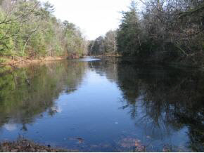 136 Eureka Mill Road Staunton, VA 24401 - Photo 4 of 7 a view of a lake with a yard