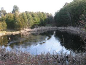 136 Eureka Mill Road Staunton, VA 24401 - Photo 6 of 7 a view of lake with green space