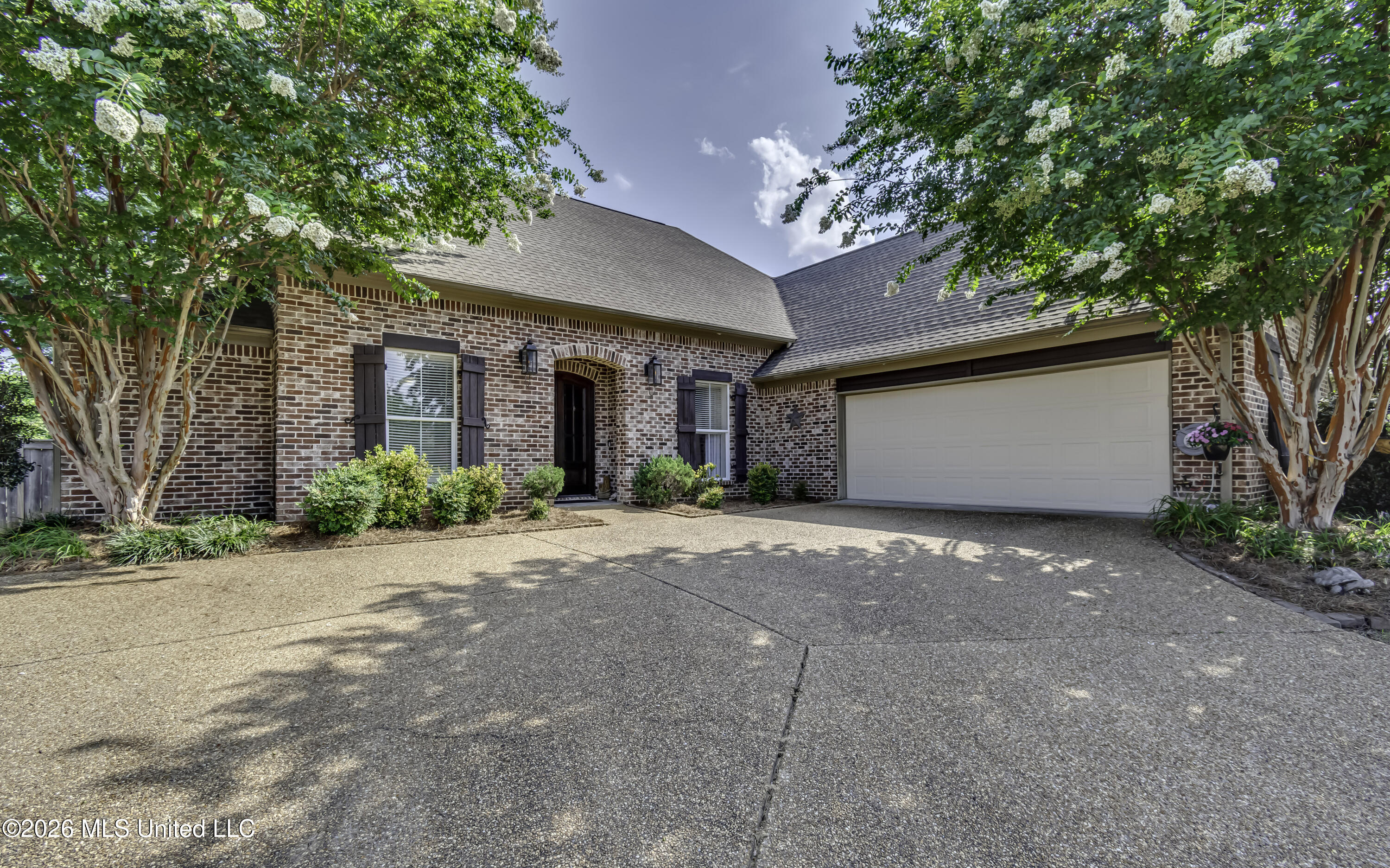 113 Turtle Ridge Drive Brandon, MS 39047 - Photo 3 of 64 113 Turtle Ridge--3