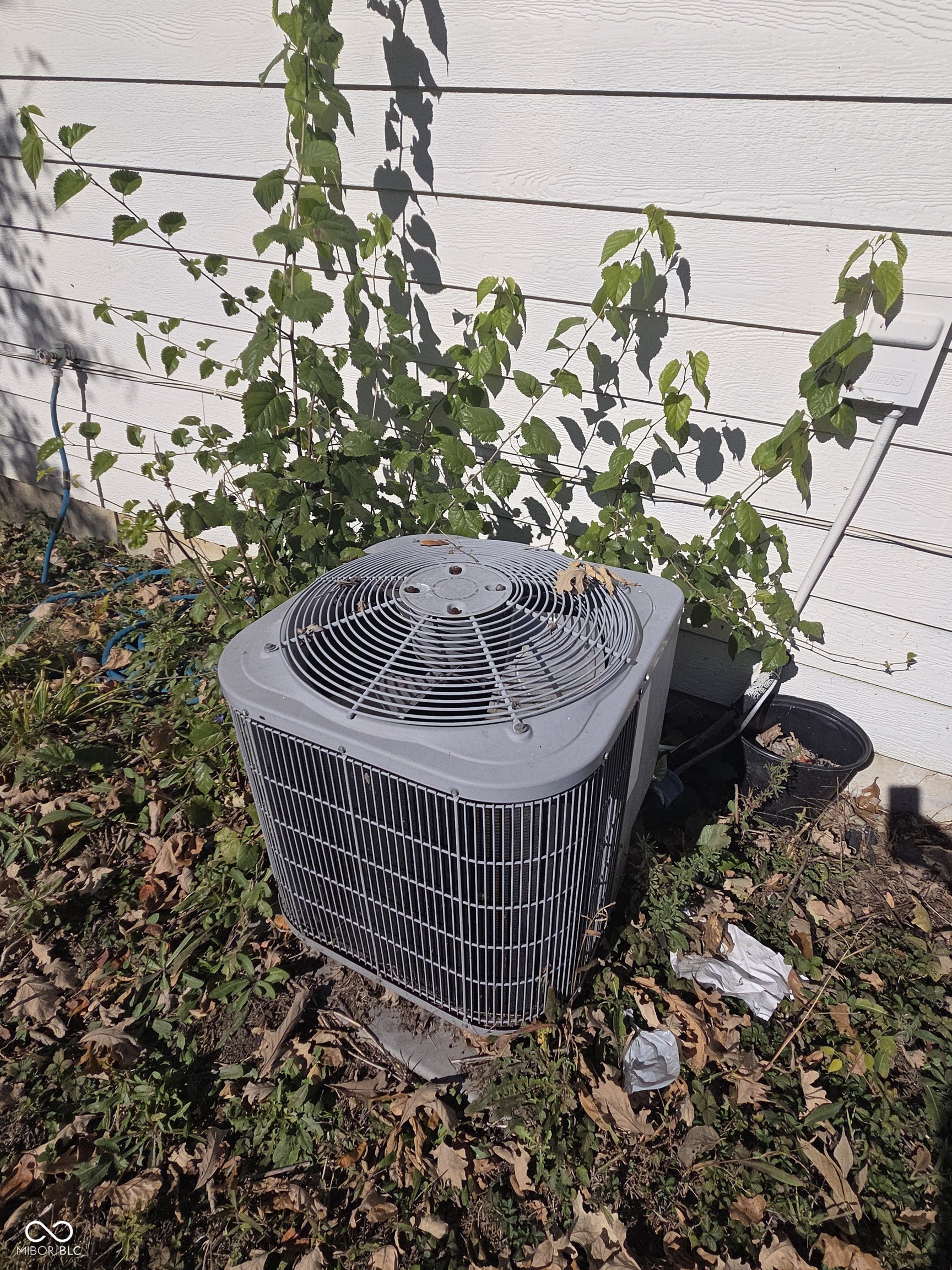 2015 Ralston Avenue Indianapolis, IN 46218 - Photo 19 of 21