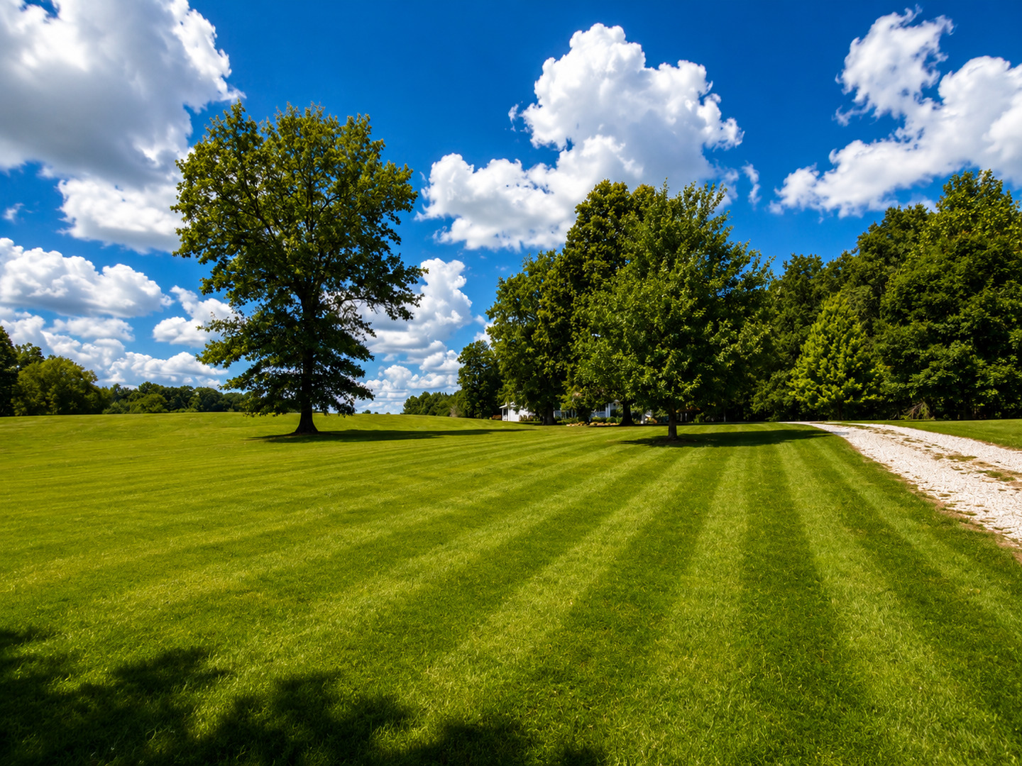 7507 Krutsinger Road Kinmundy, IL 62854 - Photo 97 of 100 Gallery Image 97