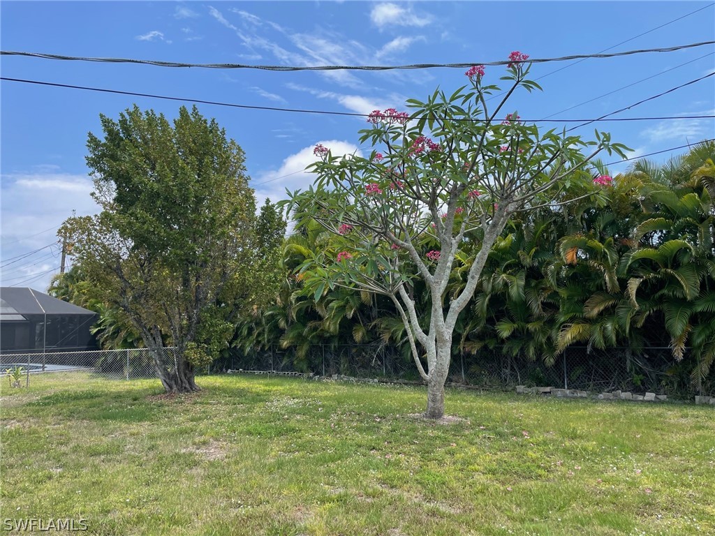 11731 Iona Road Fort Myers, FL 33908 - Photo 25 of 26 a big yard with lots of green space and plants