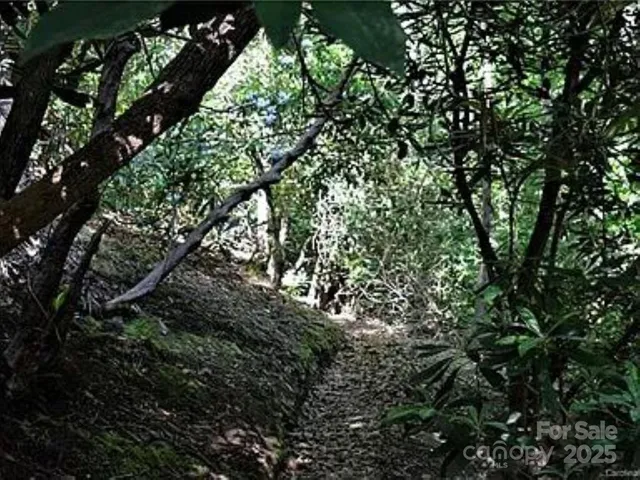a big yard with lots of green space and trees