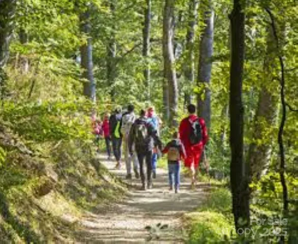 $350,000 | 595 Quail Ridge Boulevard, Lake Lure, NC 28746