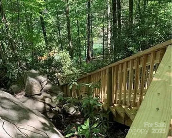 a view of flowers in bunch