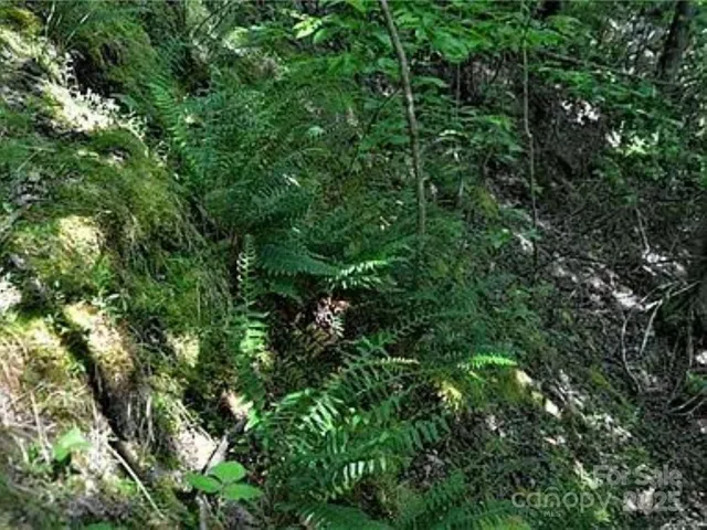 a view of a lake with a mountain