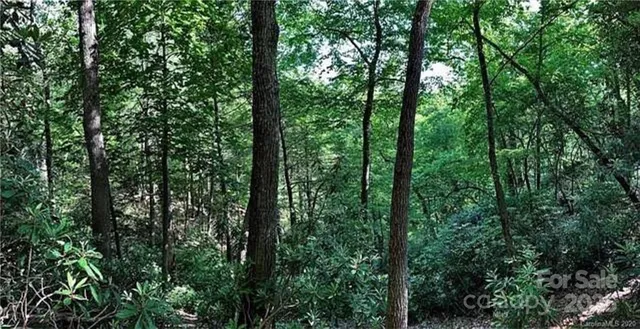 a view of a golf course with a park