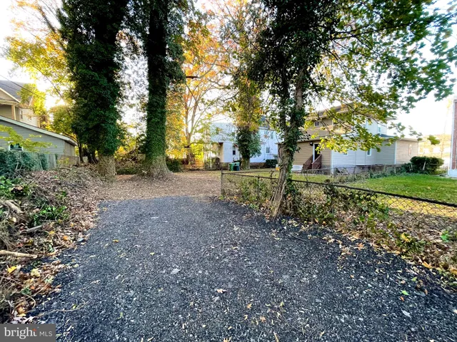 a view of a park with large trees