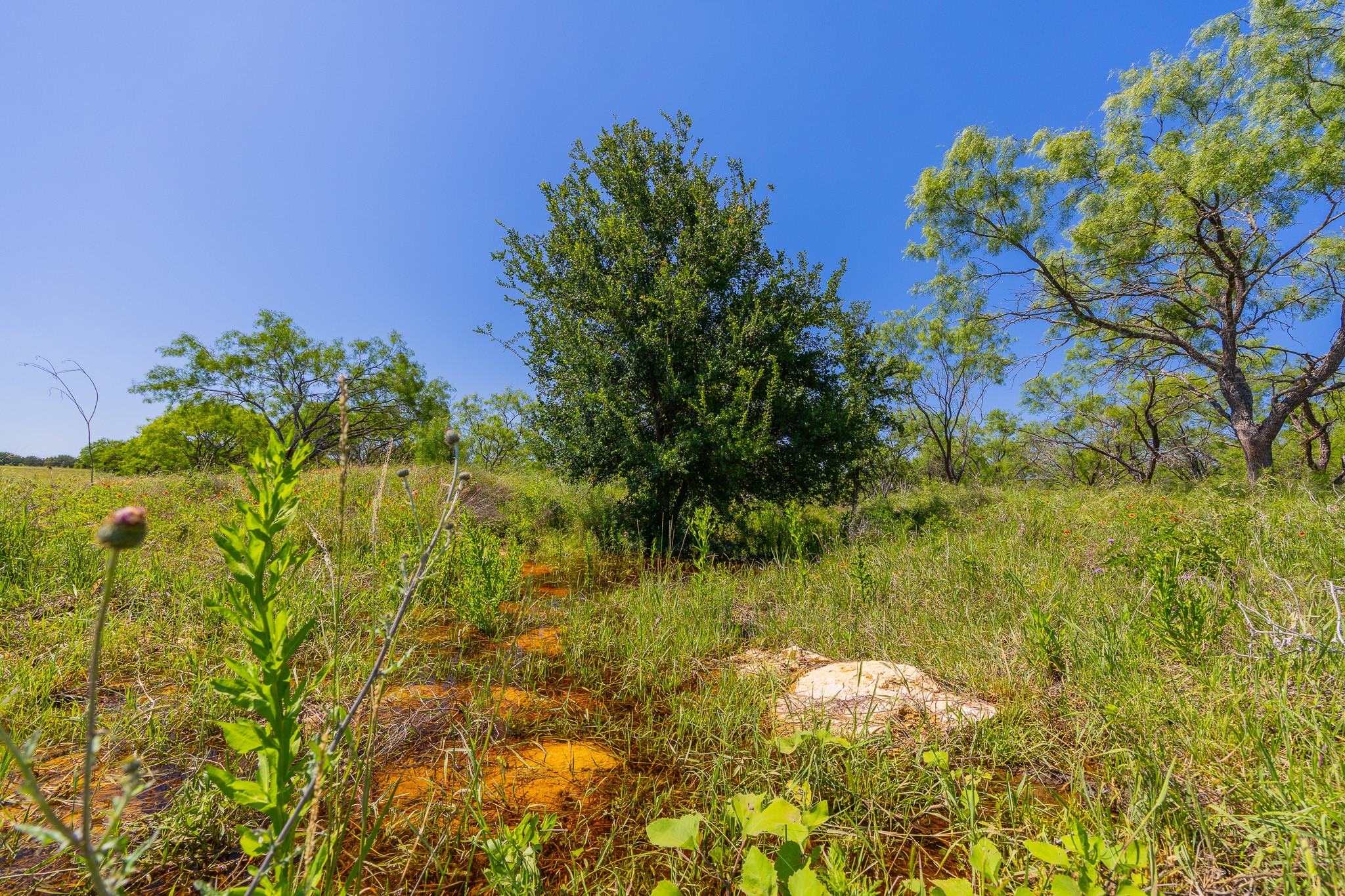 180 Rd Purmela Tx 76566 Road Purmela, TX 76566 - Photo 1 of 32 Gallery Image 1