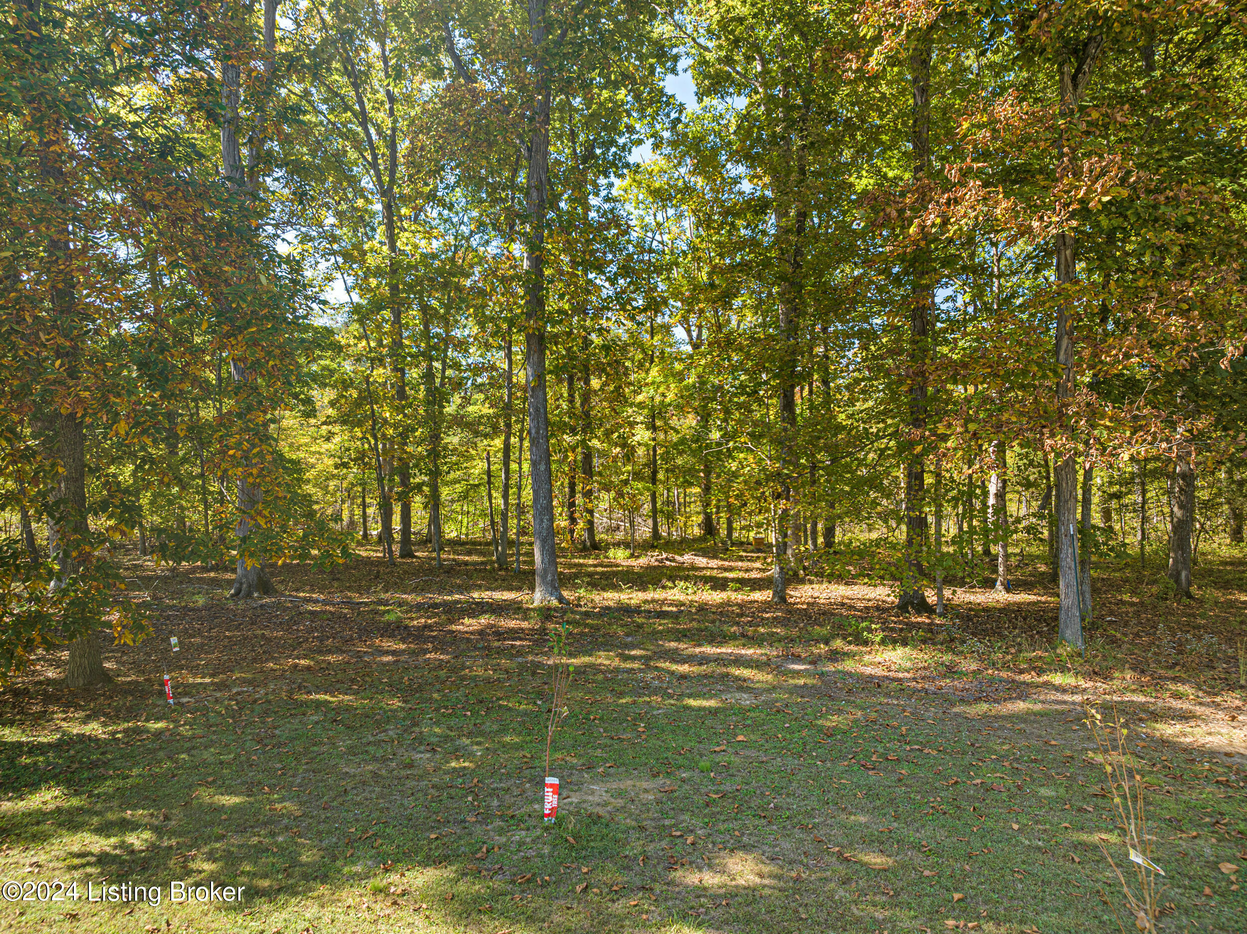 978 Forest Hill Road Shepherdsville, KY 40165 - Photo 56 of 60 56_dji_0365