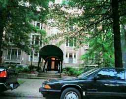 Primary Photo