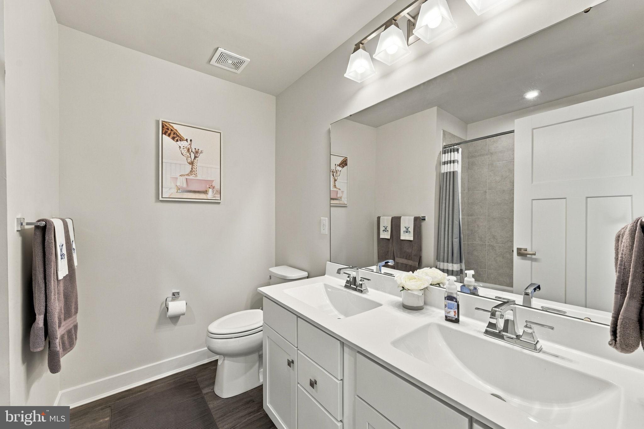 1007 Applecross Drive Middletown, DE 19709 - Photo 44 of 79 Hall Bth w/Double Vanity