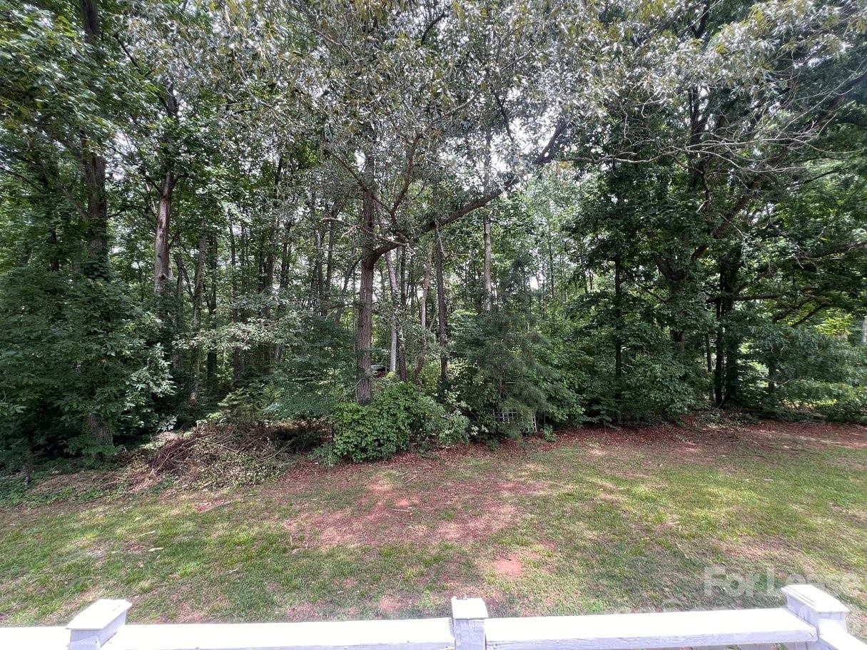 144 Mountain View Road Bessemer City, NC 28016 - Photo 31 of 33