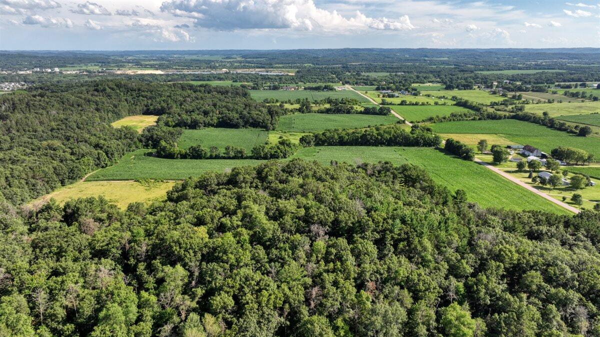 0 Hammer Road Sparta, WI 54656 - Photo 22 of 52 22-DJI_0739_22